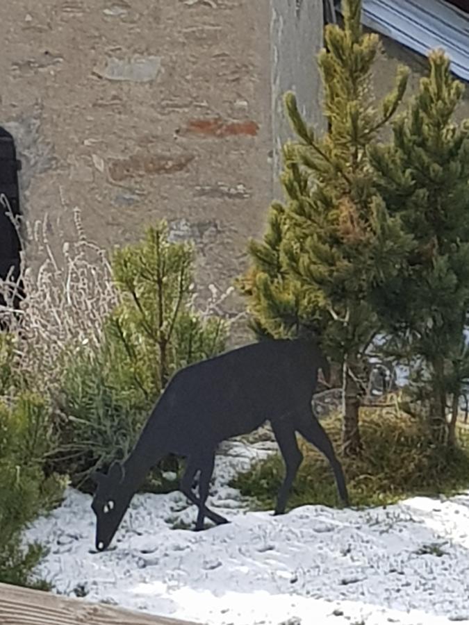 Chalet Teo E Marianna Bormio Kültér fotó